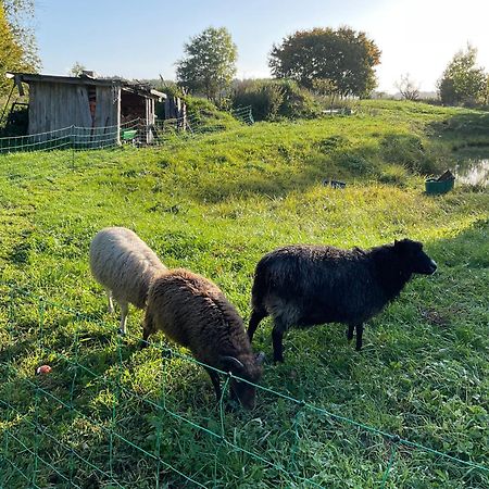 Ferienhaus Raabe Splietsdorf Esterno foto