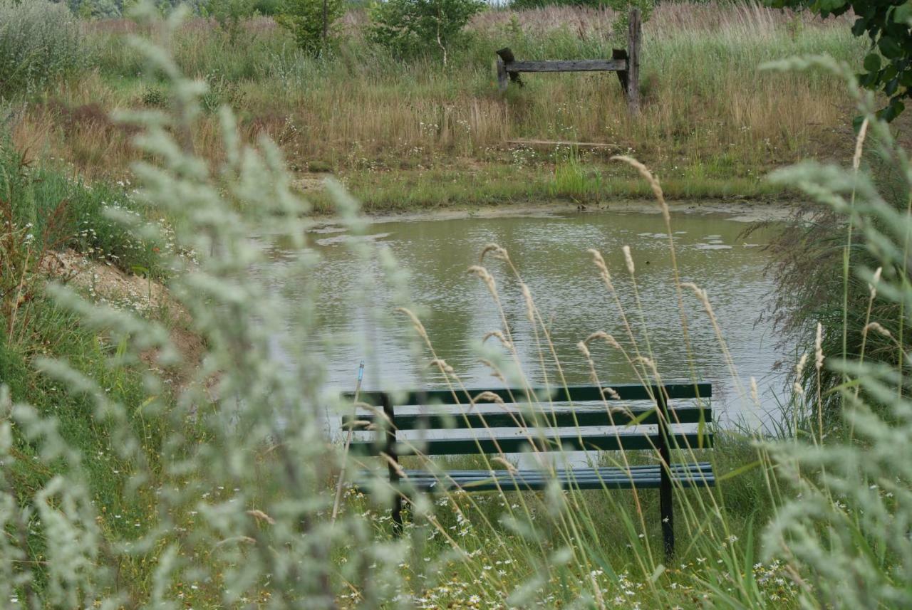 Ferienhaus Raabe Splietsdorf Esterno foto